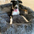 Calming Dog Bed With Luxuriously Soft Faux Fur Cushioning