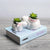 Cute Rabbits Ceramic Flowerpot for Succulents